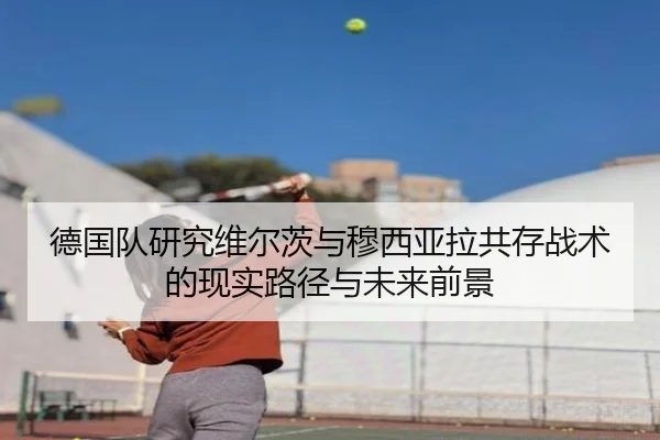 德国队研究维尔茨与穆西亚拉共存战术的现实路径与未来前景